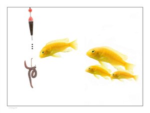 平台最佳实践案例集锦